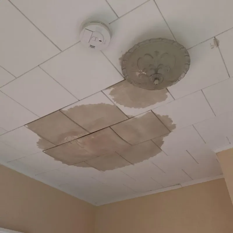 Ceiling Water Damage Repair in Sevierville, TN