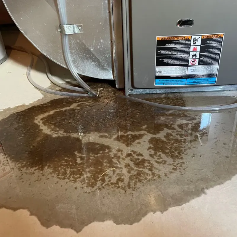 Pipe Burst and Leak Restoration in Sevierville, TN