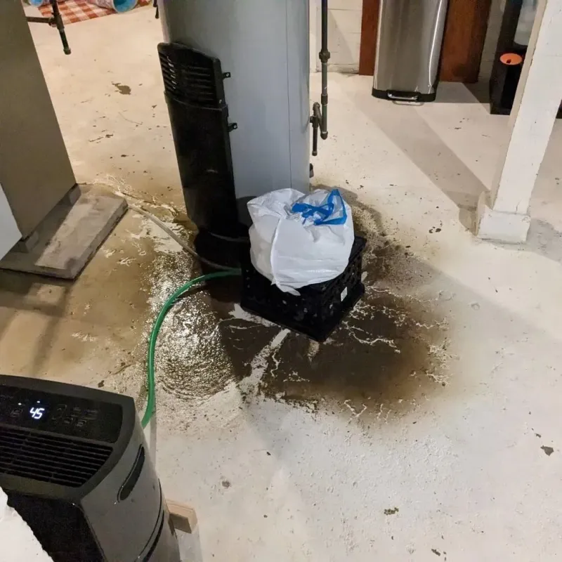Sewage Backup Cleanup Service in Sevierville, TN